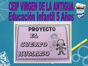 Proyecto El Cuerpo Humano Ed Infantil 5 Años