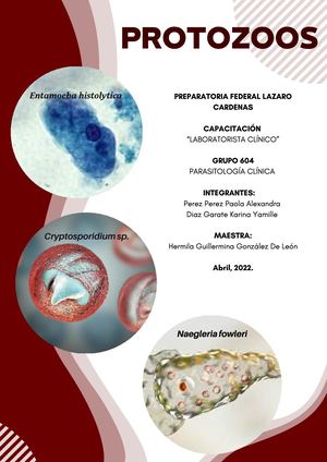 Libro De Parasitología
