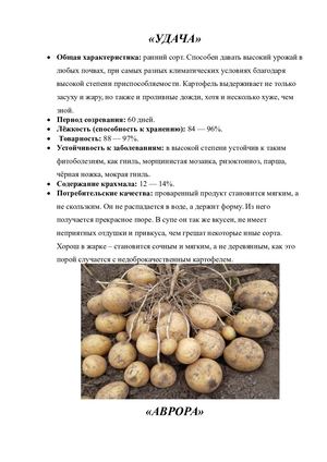 Справочник для дачников и садоводов Дальнего Востока о сортах картофеля