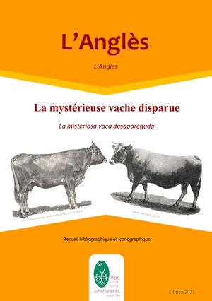 L'Anglès | La mystérieuse vache disparue