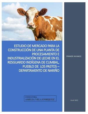 Informe Entrega Parcial Tabla Ok (1)