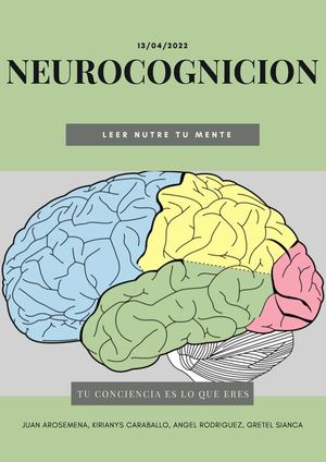 Neurocognicion Psicología