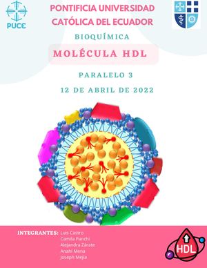 FLIPBOOK MOLÉCULA HDL