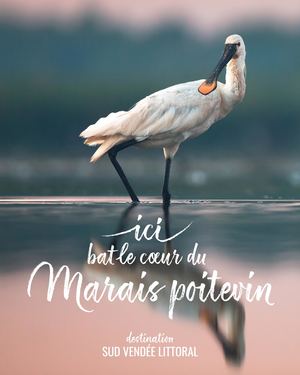 Ici bat le coeur du Marais poitevin - Destination Sud Vendée Littoral