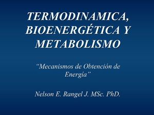 Bioenergetica Y Termodinamica