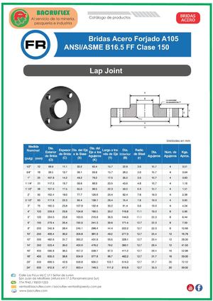Brida Lap Joint Clase150 A105