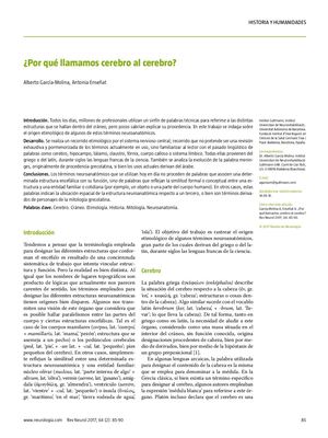 Por Que Llamamos Cerebro Al Cerebro