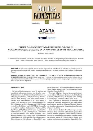 PRIMER CASO DOCUMENTADO DE LEUCISMO PARCIAL EN  GUAZUNCHO (Mazama gouazoubira)