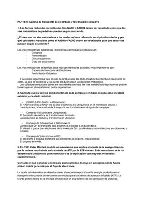 Parte 2 taller Bioquimica 3