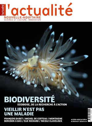 N°128 – avril, mai, juin 2020