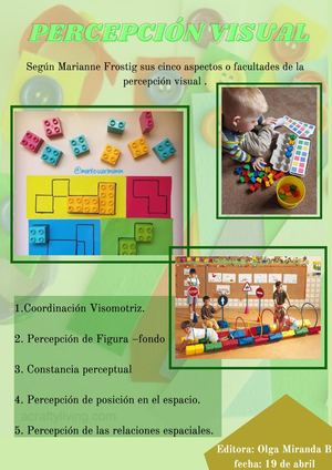 Revista De Percepción Visual