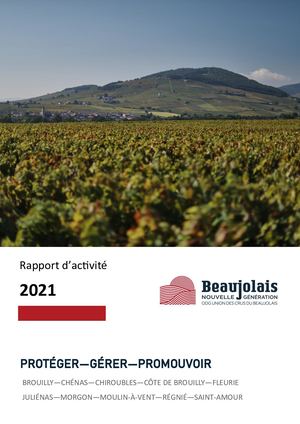 Rapport d'activité ODG des crus du Beaujolais