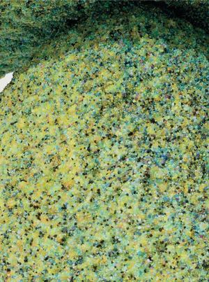 Incarnat Vincent Beaurin (Extrait)