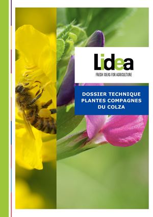 Guide technique Plantes Compagnes Colza