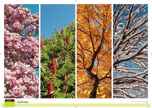 P5250 Lnu Questionner Espace Temps C2 Posters Print