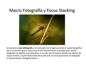 Macro Fotografía Y Focus Stacking