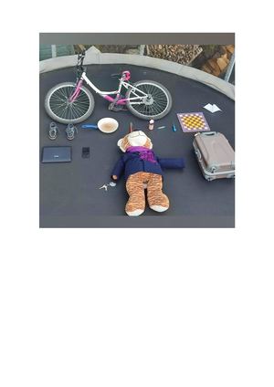 Knolling de Erik Vogler