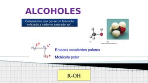 Unidad 9 II química
