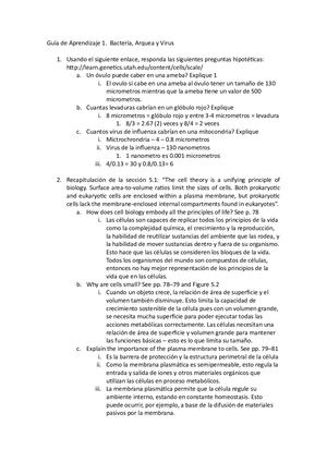 Guía De Aprendizaje 1