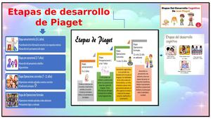 Etapa Sensoriomotora