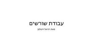 עבודת שורשים דניאל רוטלמן כיתה ז6 (3)