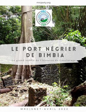 Port NÉGRIER DE BIMBIA, le grand oublié de l'histoire de l'esclavage