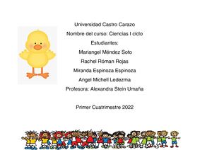 Plan #4 Estados De La Materia