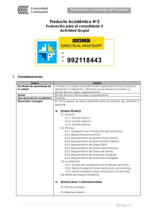 Formulación Y Evaluación De Proyectos - PA3