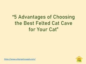 5 Advantages Of Choosing The Best Felted Cat Cave For Your Cat