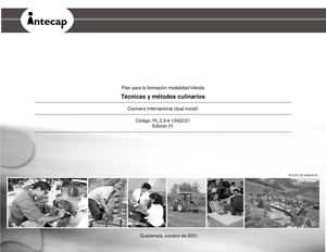 Pl Técnicas Y Métodos Culinarios