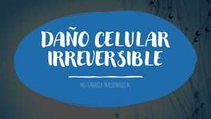 DAÑO CELULAR IRREVERSIBLE