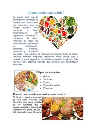 Alimentación Saludable Yerlica