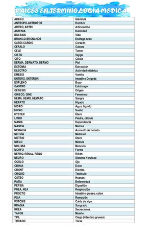 Raices En Terminología Medica