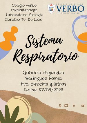 Sistema Respiratorio Biologia