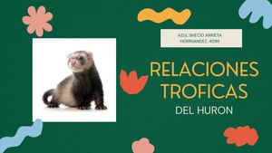 Relaciones Tróficas