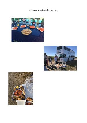 Repas dans le vignoble champenois : unique