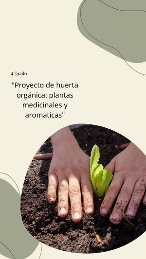 Album de plantas aromáticas y medicinales