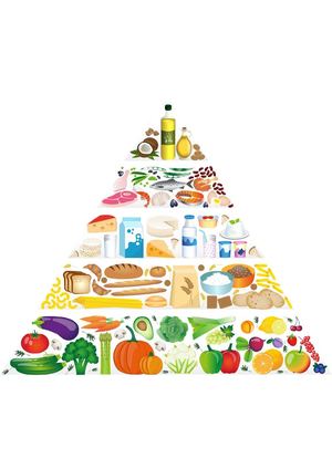 Piramide Alimentare