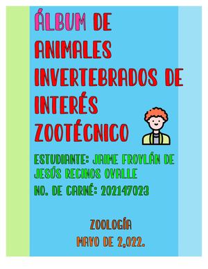 ÁLbum De Invertebrados