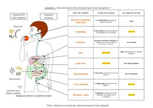 Correction Trajet Aliments