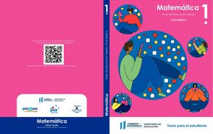 Guatemática 1ero Básico