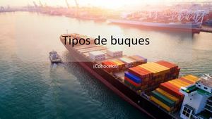 Ahmad Reza Ataie - Tipos buques