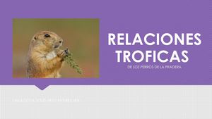 Relaciones Troficas