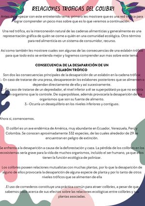 Relaciones Troficas Del Colibri