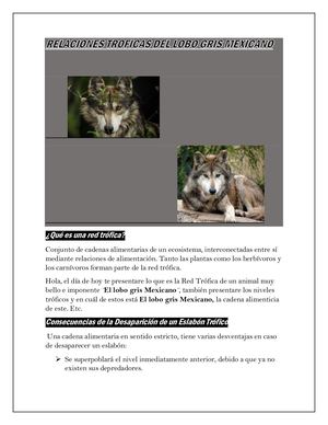 Relaciones Troficas Del Lobo Gris Mexicano