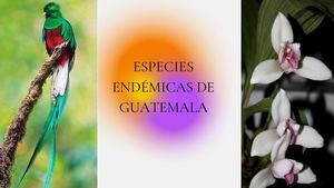 Especies Endémicas (1) (2)