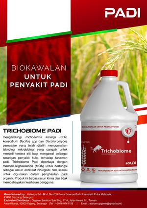 Trichobiome Padi Brochure - Gigante .