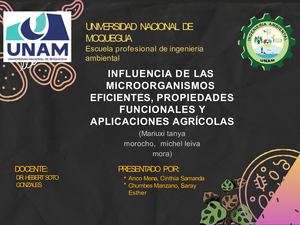 Microorganismos Eficientes, Propiedades Funcionales Y Aplicaciones Agrícolas (1) Convertido
