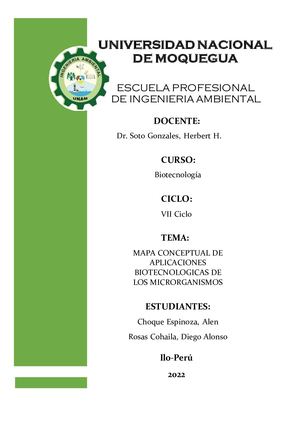 MAPA CONCEPTUAL DE APLICACIONES BIOTECNOLOGICAS DE LOS MICRORGANISMOS
