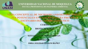 Mapa Conceptual Biotecnologia